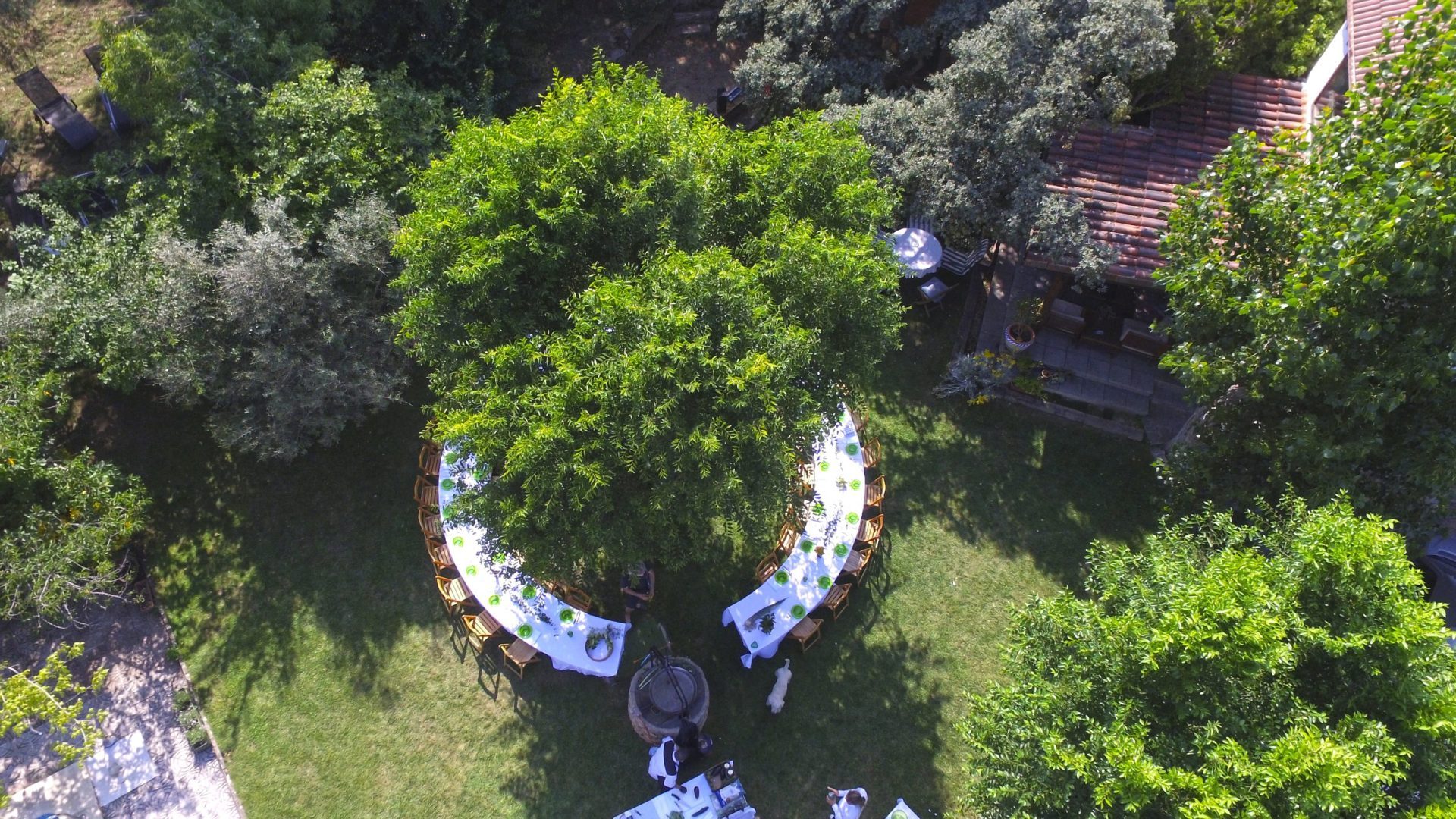 DJI_0044